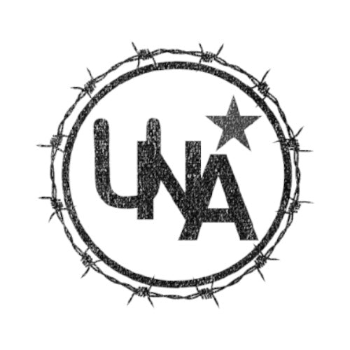 Lucvizions